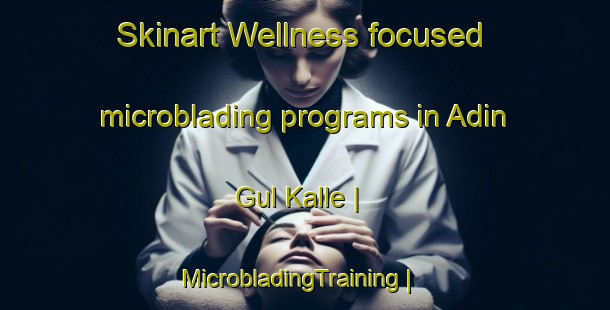 Skinart Wellness-focused microblading programs in Adin Gul Kalle | MicrobladingTraining | MicrobladingClasses | SkinartTraining-Pakistan